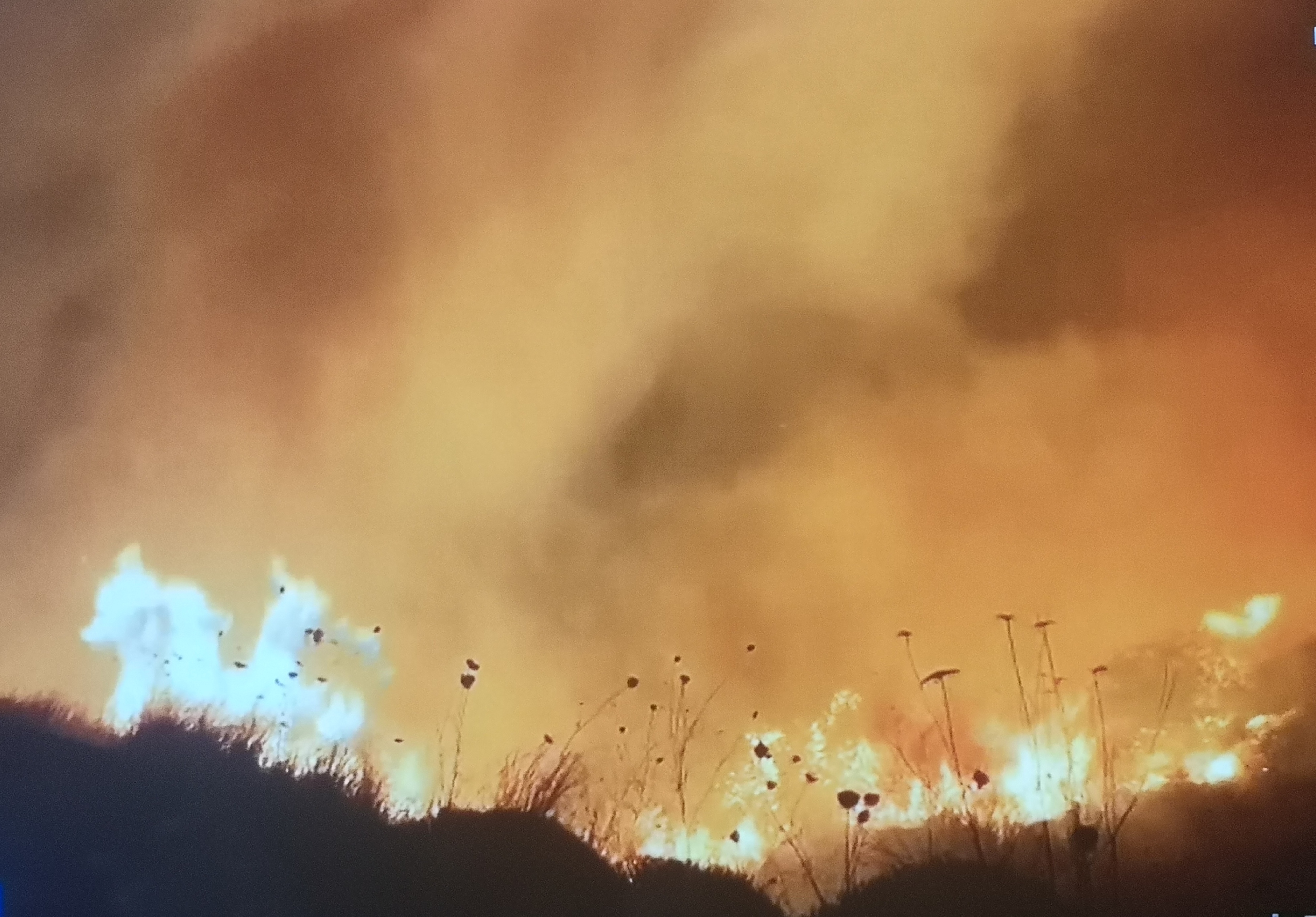 国内联赛！四强争夺战火焰再次蔓延的简单介绍