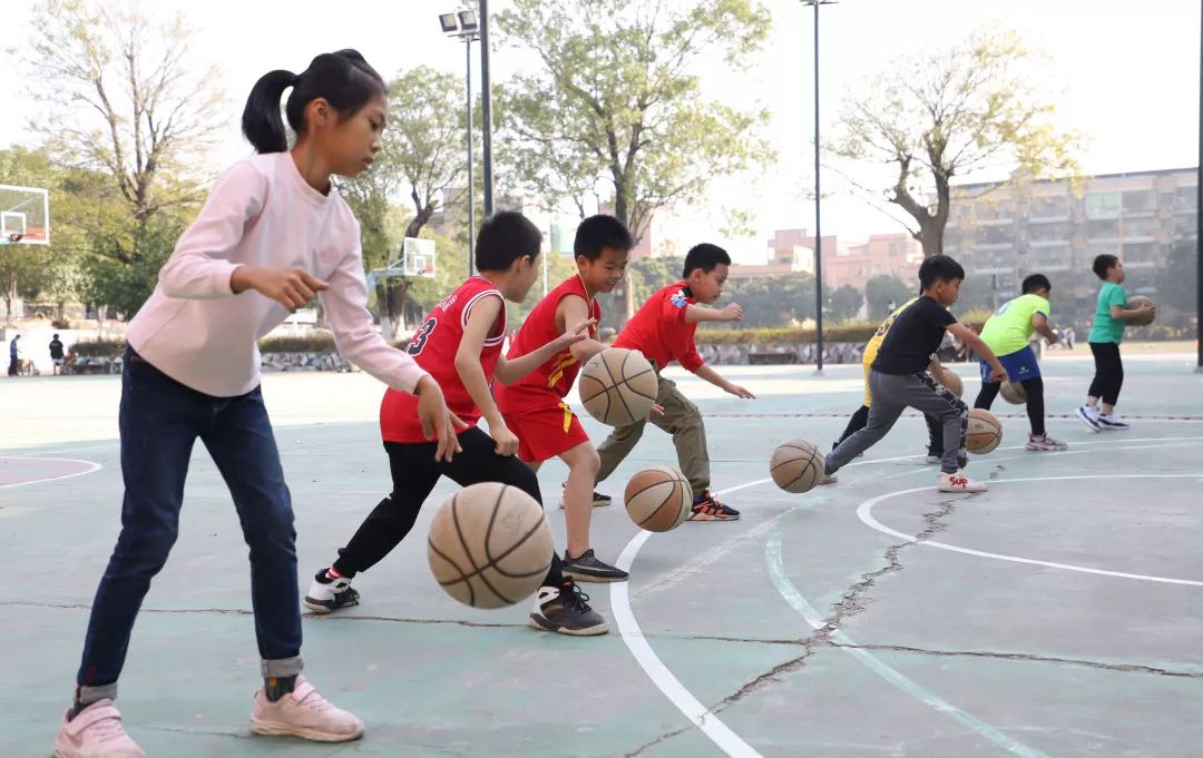 爱游戏tv-包含美洲篮球特殊群体培训项目取得阶段性成果的词条