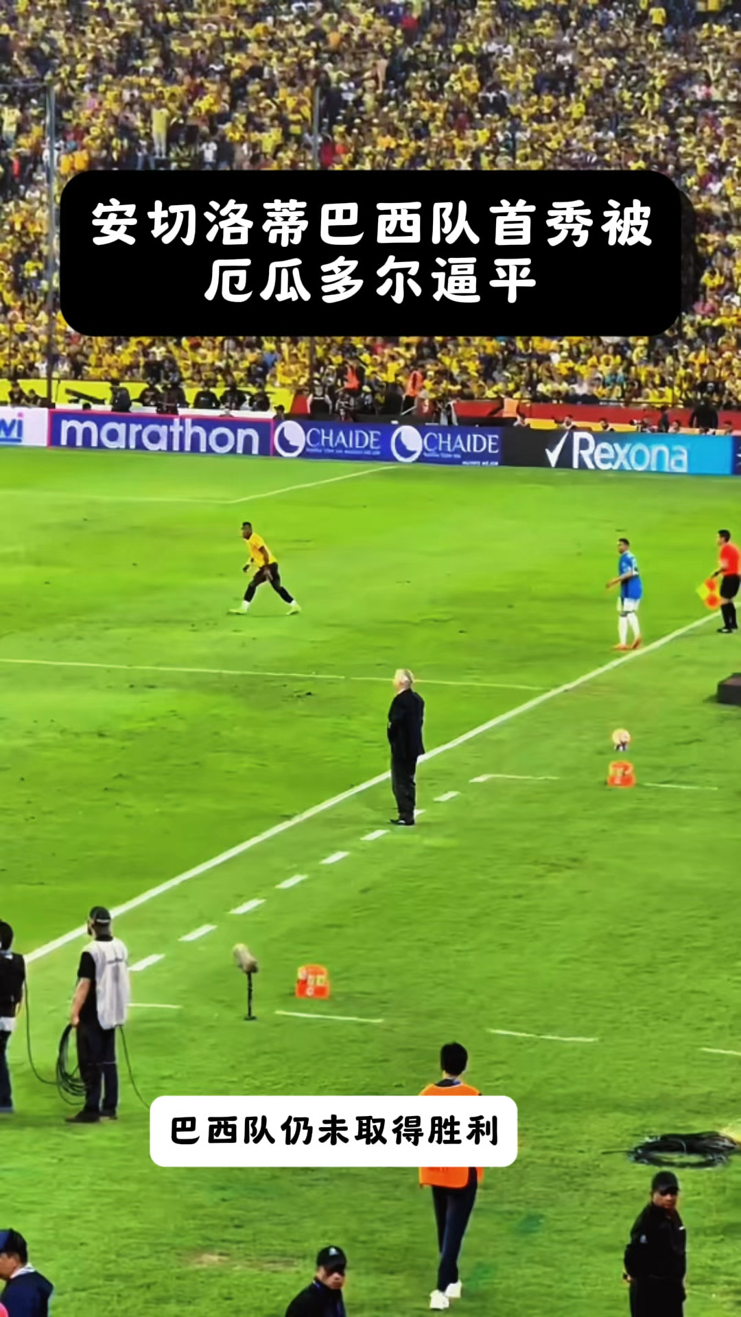 被逆转!挪威队输给巴西队,无缘世界杯半决赛的简单介绍 被逆转!挪威队输给巴西队,无缘世界杯半决赛的简单介绍