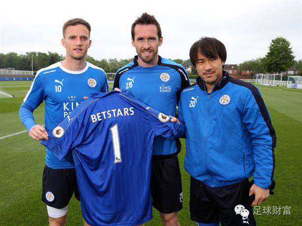 莱斯特城主场告负,降级形势更加严峻的简单介绍 莱斯特城主场告负,降级形势更加严峻的简单介绍