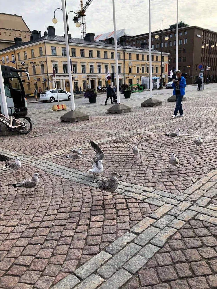 包含瑞典队风起云涌，欧锦赛晋级呼声高涨的词条