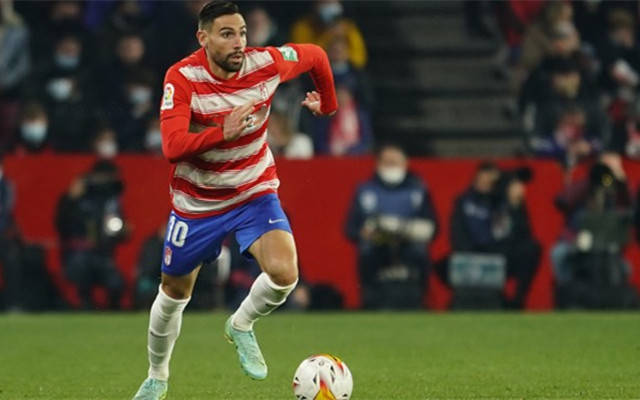 格拉纳达主场告捷，保级压力减轻