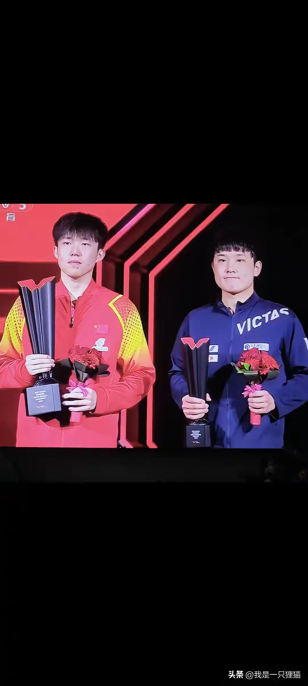 奥地利队险胜德国队,张本智和点燃赛场的简单介绍 奥地利队险胜德国队,张本智和点燃赛场的简单介绍