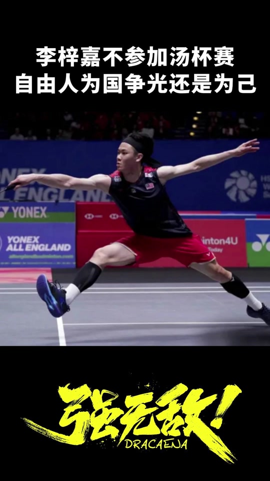 包含印尼队轻取德国队，李梓嘉高光表现的词条